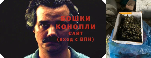 гидропоника Горняк