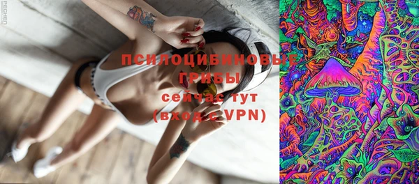 Альфа ПВП Горнозаводск