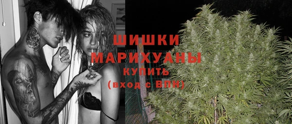 Альфа ПВП Горнозаводск