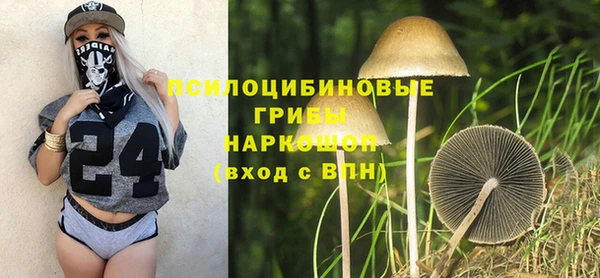 гидропоника Горняк