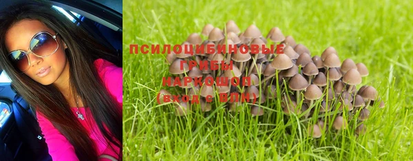 Альфа ПВП Горнозаводск