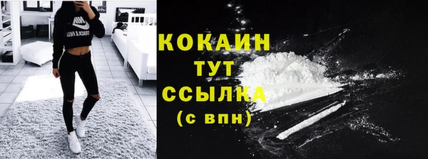гидропоника Горняк