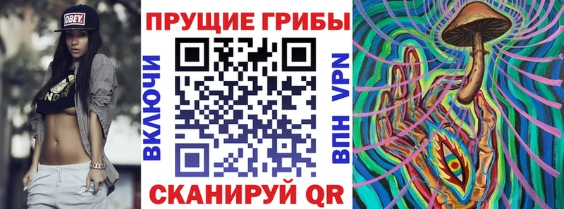 Купить  Катав-Ивановск  Галлюциногенные грибы мицелий 