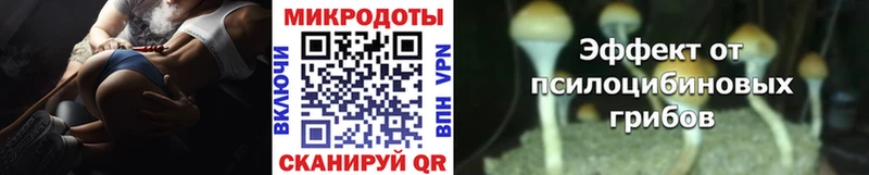 Псилоцибиновые грибы ЛСД Катав-Ивановск